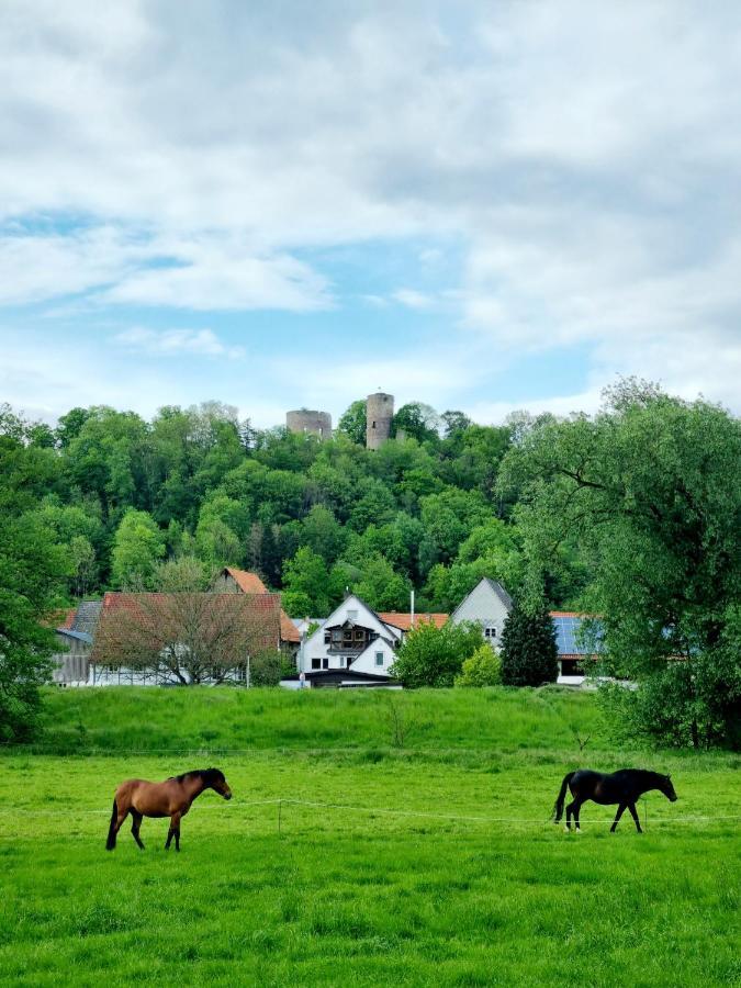Ferienhaus Diemelaue Mit Klimaanlage Бад-Карлсгафен Екстер'єр фото